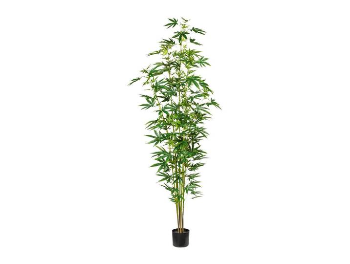 Kunstpflanze Grünpflanze H: 210 cm
