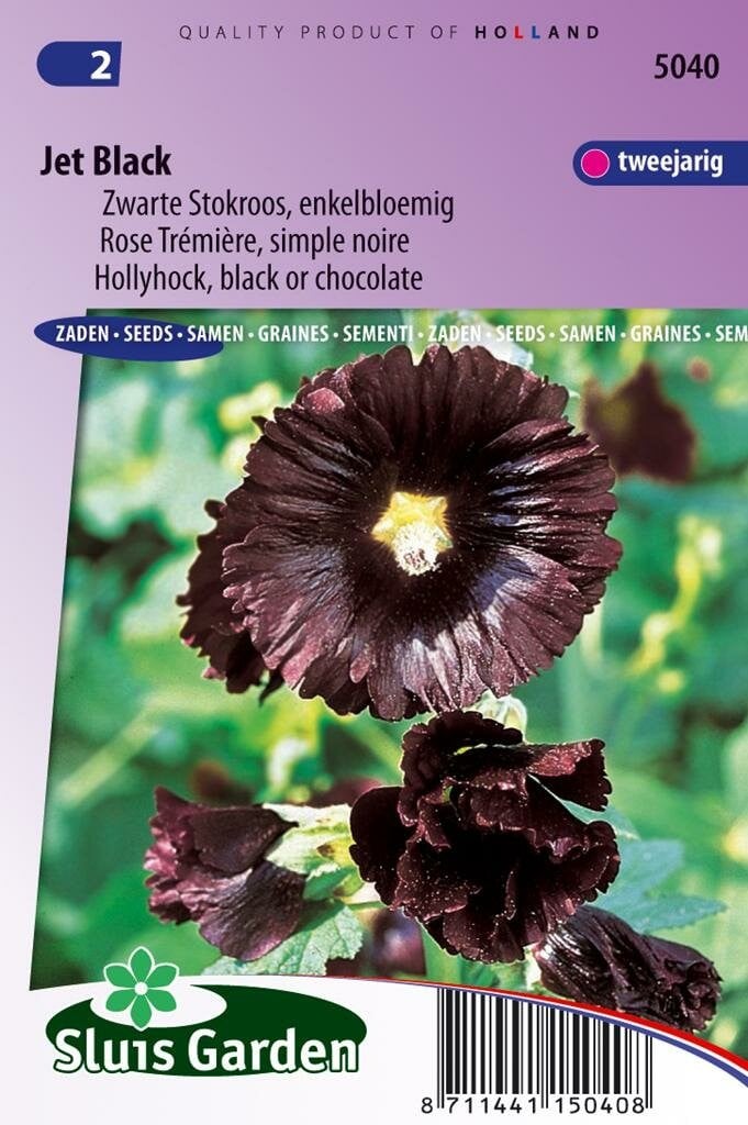 Sluis Garden Alcea Rosea stokroos zaden Jet Black