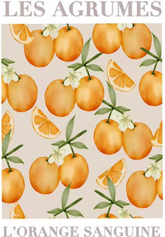 Inspire Picks Retro Lemon Garden Lemon Wall Art Canvas Fresh Summer Fruit Decor Prints 3 50x70cm