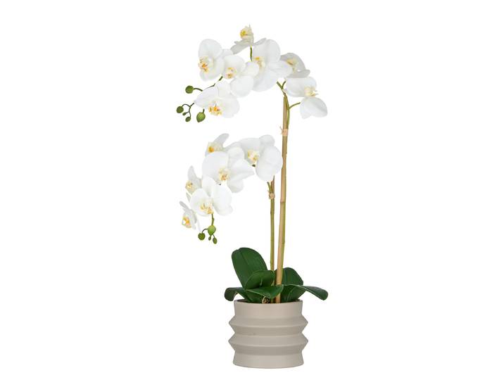 Kunstblume Phalaenopsis Typ H 20 x 60 x 18cm