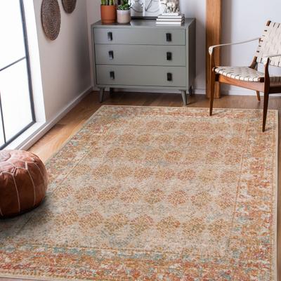 Amer Rugs Ethereal Vintage Bordered Area Rug