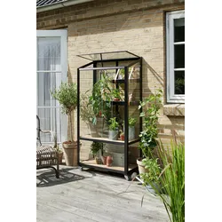 Juliana Gewächshaus Urban City Greenhouse - 0,32 m2 schwarz