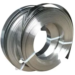 Sst Endlosband VA V2A 19mm