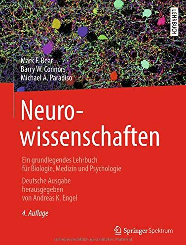Bear, Mark F. - Neurowissenschaften: Ein grundlegendes Lehrbuch für Biologie, Medizin und Psychologie - Preis vom 15.10.2026 23:06:25 h
