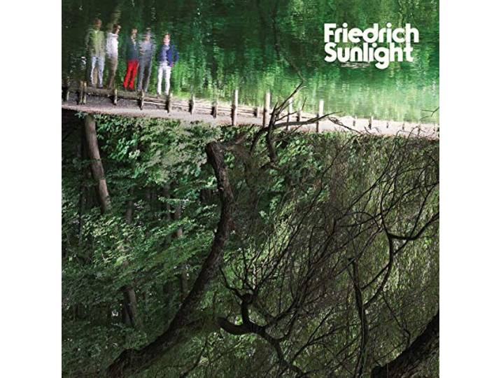 Friedrich Sunlight