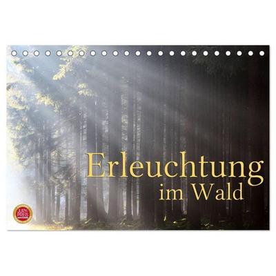 Erleuchtung im Wald (Tischkalender 2027 DIN A5 quer), CALVENDO Monatskalender