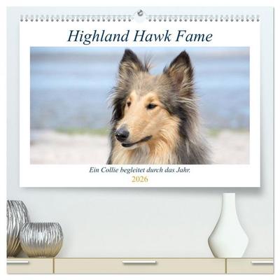 Highland Hawk Fame - Ein Collie begleitet durch das Jahr (hochwertiger Premium Wandkalender 2026 DIN A2 quer), Kunstdruck in Hochglanz