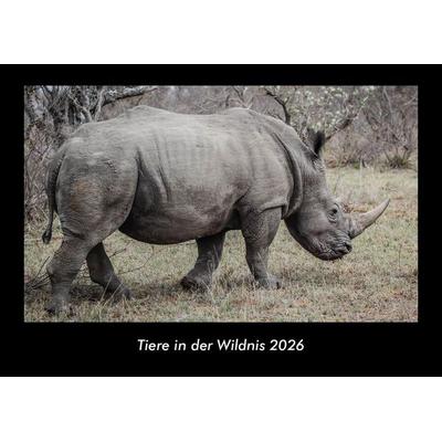 Tiere in der Wildnis 2026 Fotokalender DIN A3