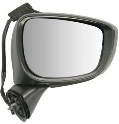 BLIC 5402-14-1905313P Wing mirror
