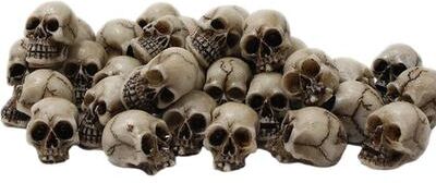 Inspired Living 20 Piece Mini Gothic Skull Decor Set For Halloween, Gardens & Creative Displays 20 Piece Mini Gothic Skull Decor Set For Halloween, Gardens & Creative Displays