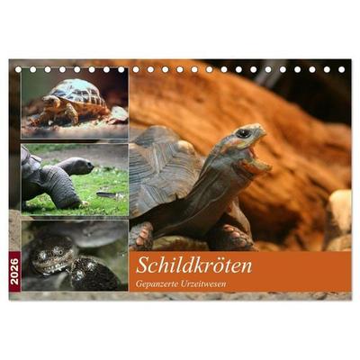 Schildkröten - Gepanzerte Urzeitwesen (Tischkalender 2026 DIN A5 quer), CALVENDO Monatskalender