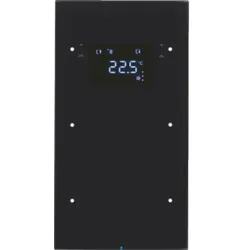 Berker Touchsensor 2fach 75642055