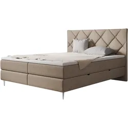 BOXBETT Letra - H3