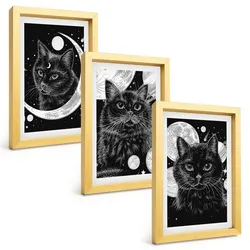 BILDER SET 3er Set - 20x30 cm Goldrahmen - Schwarze Katzen, Mond, Weltraum