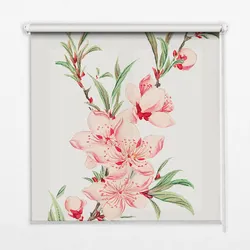 INNENROLLO - Fensterrollo - Rollo - 100x100 cm - Rosa Blume