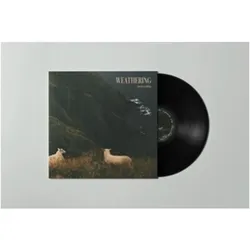 Tonpool, Schallplatten, Weathering (Lucas Laufen)