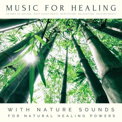 Music For Healing: With Nature Sounds For Natural Healing Powers - Music For Healing, Audio, 4066338434746
