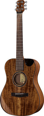 Journey Instruments OF882C Acacia Acoustic Natur