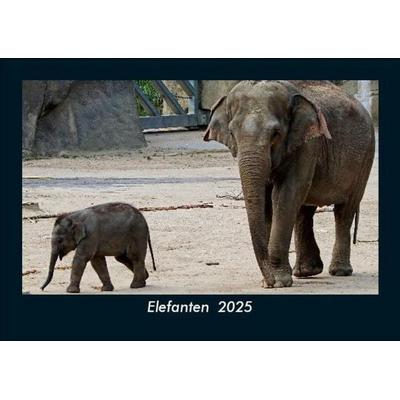 Elefanten 2025 Fotokalender DIN A5