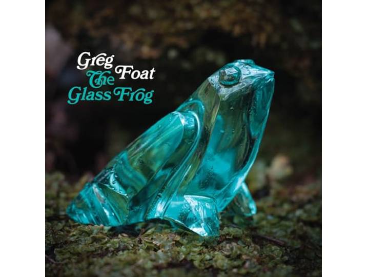 The Glass Frog