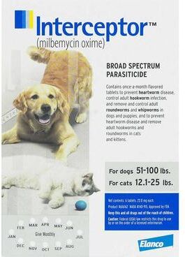 Interceptor Plus Chew For Dogs 50.1- 100lbs (Blue) 3 Chews
