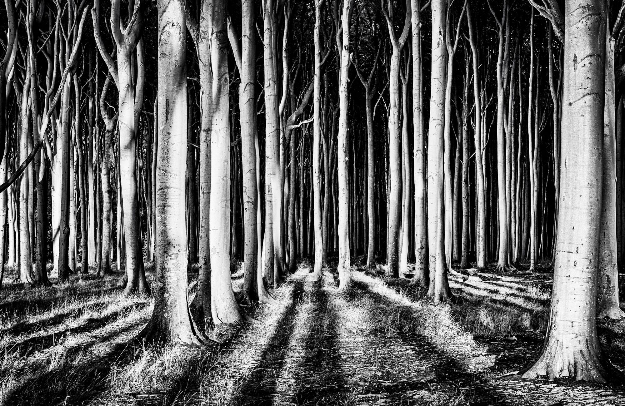 Fototapete PAPERMOON "Photo-Art PIXXELPARK, GEISTERWALD", bunt, B:1,5m L:1,11m, Vlies, Tapeten, Fototapete