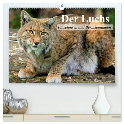 Der Luchs. Pinselohren und Bernsteinaugen (hochwertiger Premium Wandkalender 2027 DIN A2 quer), Kunstdruck in Hochglanz