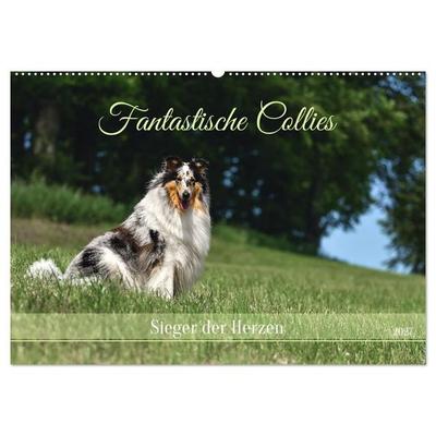 Fantastische Collies - Sieger der Herzen (Wandkalender 2027 DIN A2 quer), CALVENDO Monatskalender