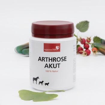 HerzensTier Arthrose akut 25 ml