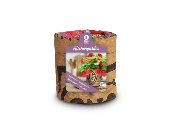 Baza keukentuintje reuze aardbei
