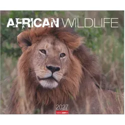Weingarten, Kalender, African Wildlife Kalender 2027
