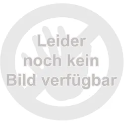 Holzmann Fußpedal für PISA 200AC/DC