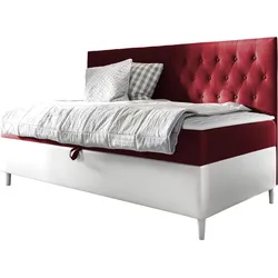 BOXBETT Filip Junior 2 - H3