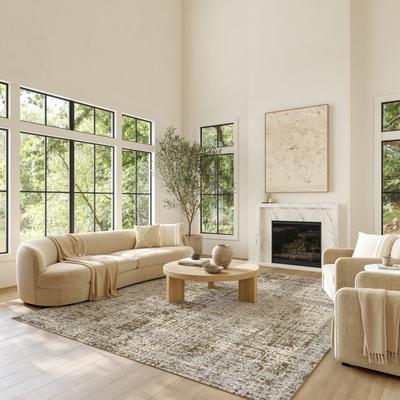 Nourison Gentle Framework Abstract Indoor Rug.