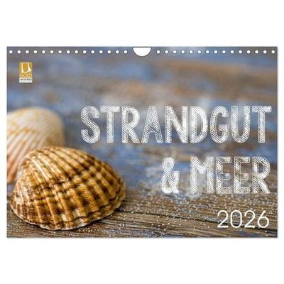Strandgut und Meer 2026 (Wandkalender 2026 DIN A4 quer), CALVENDO Monatskalender
