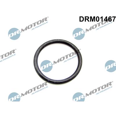DR.MOTOR AUTOMOTIVE Dichtring, Kühlmittelschlauch drm01467 für Ford