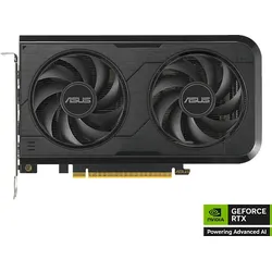 ASUS Dual GeForce RTX 5050 OC 8GB GDDR6 (NVIDIA, Grafikkarte)