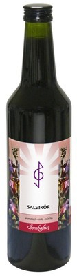 Bombastus-Werke AG SALVIKÖR flüssig 700 ml 09234024
