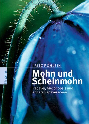 Fritz Kohlein - Mohn und Scheinmohn. Papaver, Meconopsis und andere Papaveraceae - Preis vom 11.10.2026 03:10:56 h