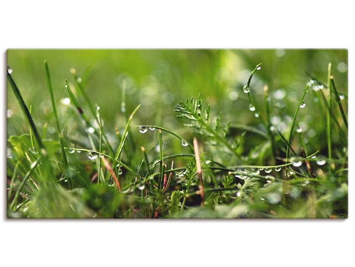 Leinwandbild ARTLAND Tautropfen , grün (farbe bild(er): grün), B:60cm H:30cm, Bilder, Leinwandbild, auf Holzrahmen gespannt