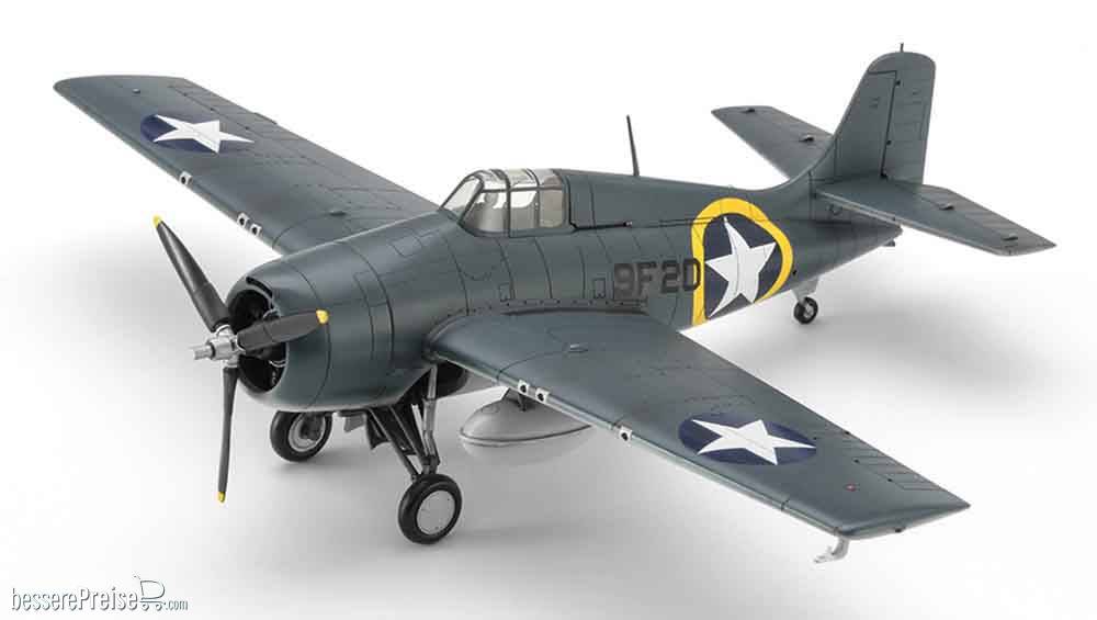 Hasegawa 602536