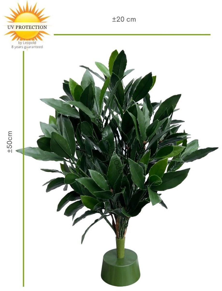 LeopoldFlora Laurier kunstplant, 50 cm, Groen