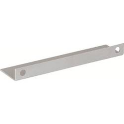 Striebel & John 2CPX062724R9999 ZX172P10 Endabdeckung zu ZB5 / ZX146 Packeinheit 10 Stück Endabdeckung Kunststoff 1 St.