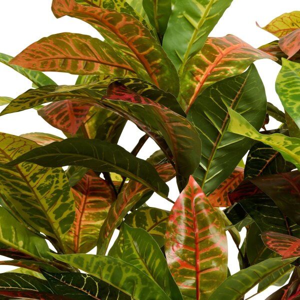4EverGreen Kroton Træ, 120 Cm