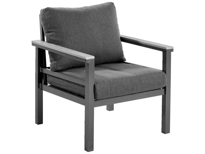 Amatio Pro Sessel OLYMPIA, grau, Aluminium