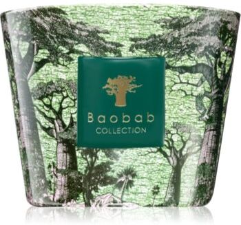Baobab Sacred Trees Touba vela perfumada 500 g. Sacred Trees Touba