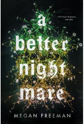 Scholastic A Better Nightmare (Hardcover) - Megan Freeman