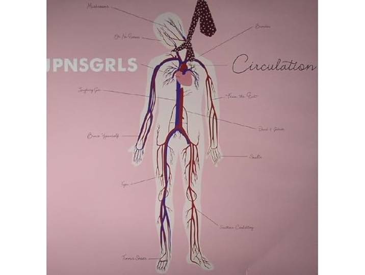 Circulation