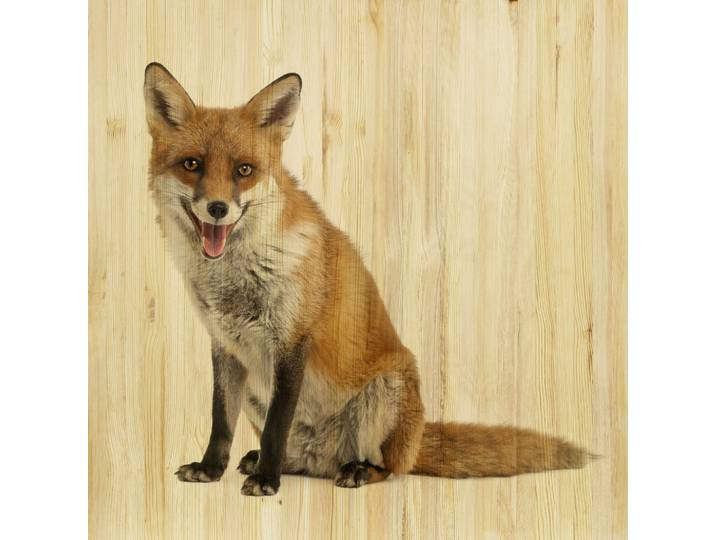 Babywanddeko Felix Fuchs, Mehrfarbig, Holz, Birke, 50x50x3 cm, Babymöbel, Kinderzimmer-Deko, Babyzimmer Wanddeko