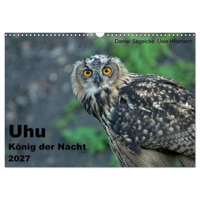 Uhu - König der Nacht (Wandkalender 2027 DIN A3 quer), CALVENDO Monatskalender